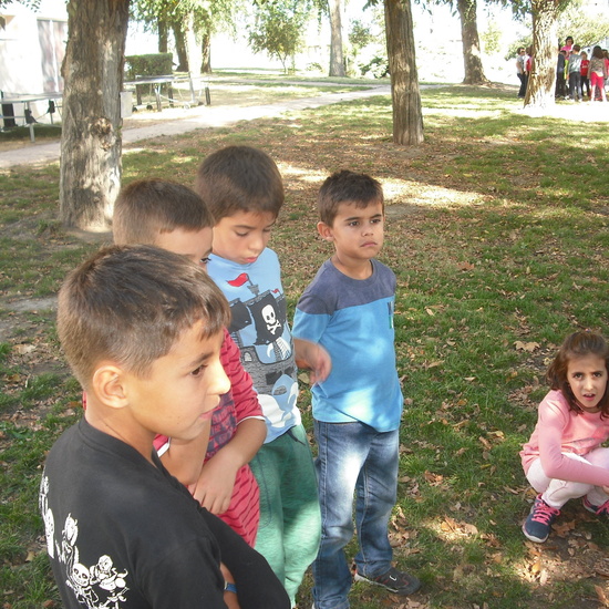 granja quinta parte 40