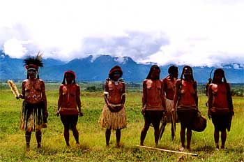 Grupo de mujeres con faldas de paja, Irian Jaya, Indonesia