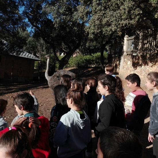 Mohernando 2017_3 39