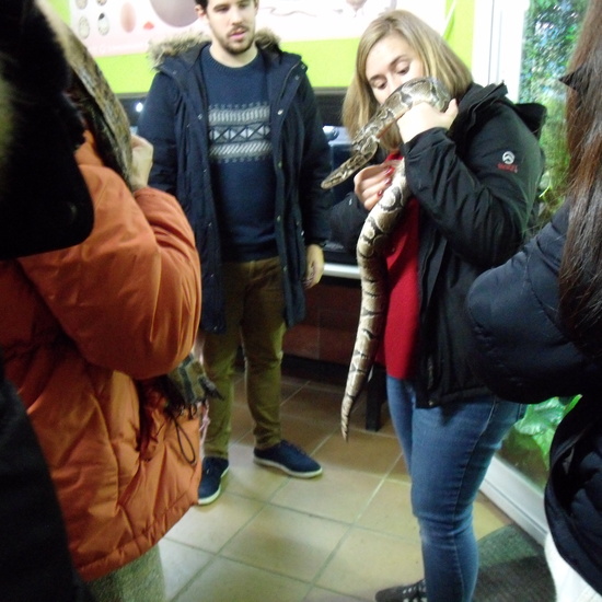 GRANJA DE LOS CUENTOS - ED.INFANTIL (Parte 2) 6