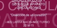 DISECCIÓN CORAZÓN