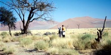 Paraje desértico, Namibia