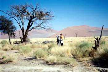 Paraje desértico, Namibia