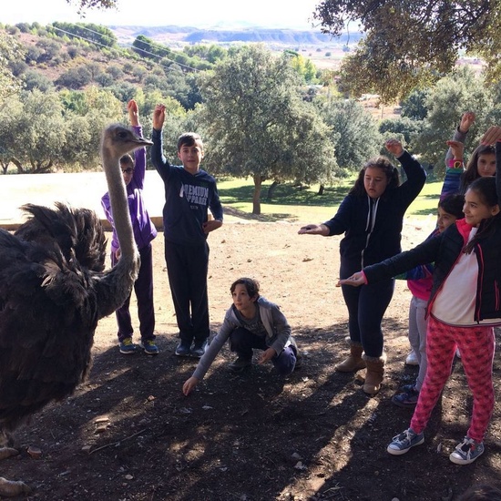 Mohernando 2017_4 21