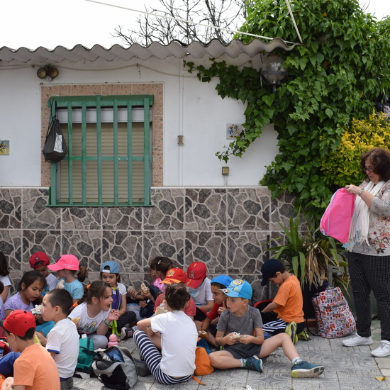 Siembra Huerta Balta 5 años 2018 34