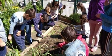 2019_05_06_Quinto en el huerto en mayo_CEIP FDLR_Las Rozas 13