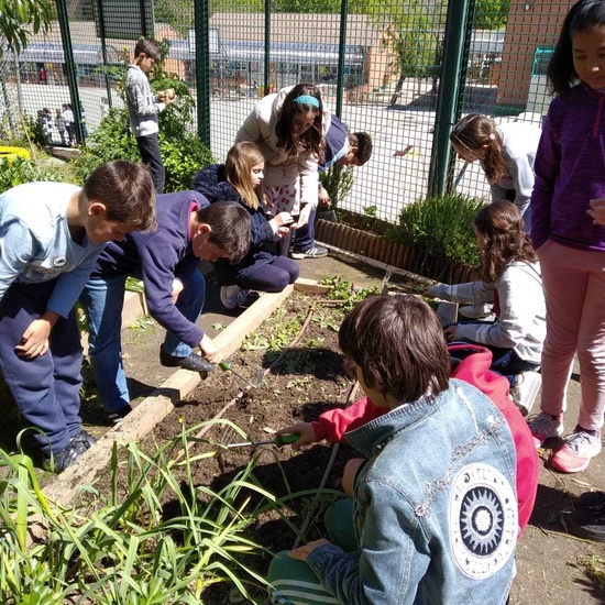 2019_05_06_Quinto en el huerto en mayo_CEIP FDLR_Las Rozas 13