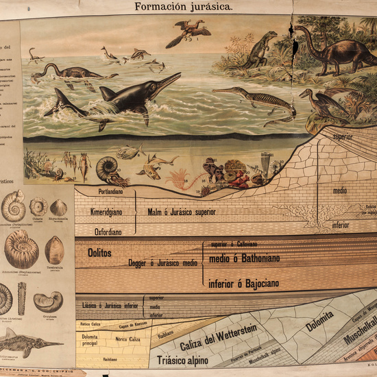 IES_LOPEDEVEGA_CIENCIASNATURALES_028