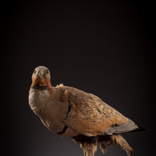 IES_CERVANTES_BIOLOGIA_046