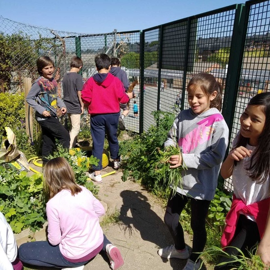 2019_04_Quinto en el huerto_CEIP FDLR_Las Rozas 10