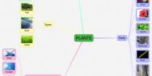 P1_NS Plants