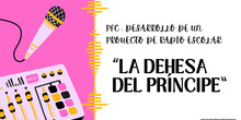PRESENTACIÓN PFC : "DESARROLLO DE UN PROYECTO DE RADIO ESCOLAR. CEIP LA DEHESA DEL PRÍNCIPE".