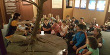 Visita a la exposición El Bosque. 1º 2º Primaria. CEIP Pinocho. 2016/17 26