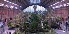 Jardín de la estación de Atocha, Madrid