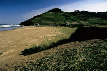 Dunas en la playa de Vega, Ribadesella, Principado de Asturias
