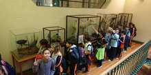 Excursión al museo de ciencias 9