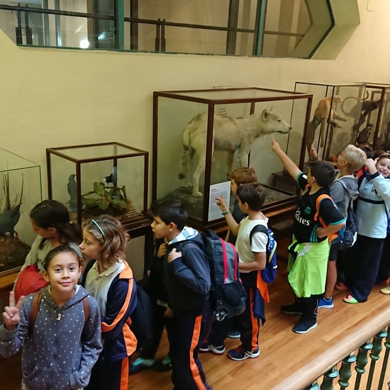 Excursión al museo de ciencias 9