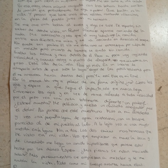 2º premio Inés Rodríguez Benayas (2º A)- “Odio las navidades”