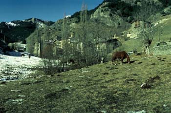 Paisaje rural