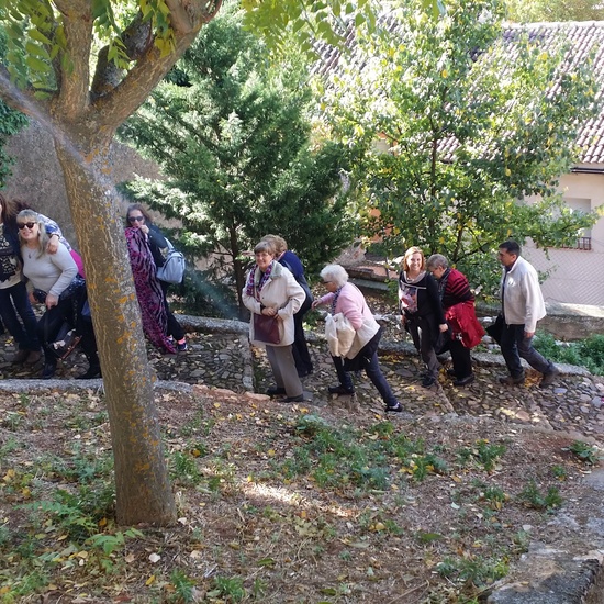 Fotos Excursión Ayllón 34