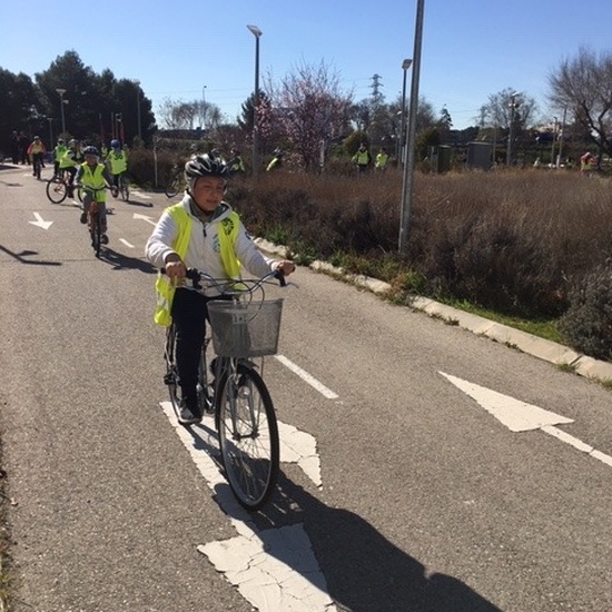 EDUCACIÓN VIAL. 6º 23