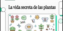 LA VIDA SECRETA DE LAS PLANTAS