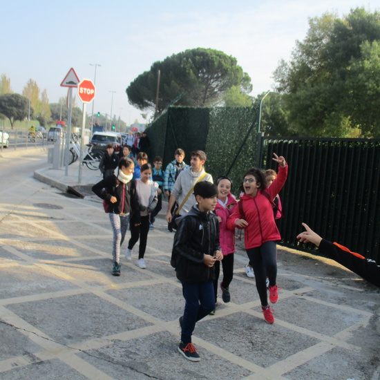 EN MÚLTIPLE 6º - 2019 7