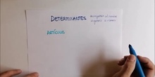 LOS DETERMINANTES (I): ARTÍCULOS Y DEMOSTRATIVOS