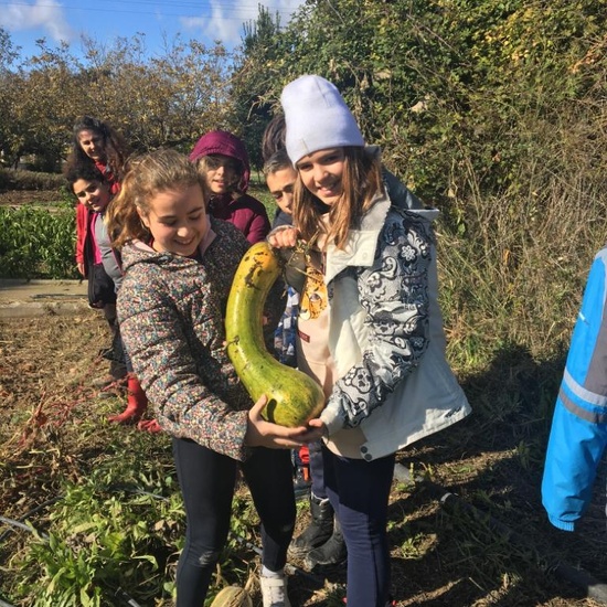 Albergue 6º - 3º día (mañana) 16