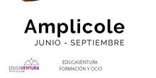 AMPLICOLE