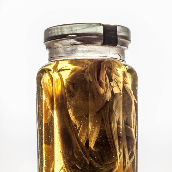 IES_SANISIDRO_MUSEO_BOTES_008