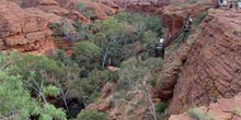 El jardín del Edén, Kings Cannyon, Australia