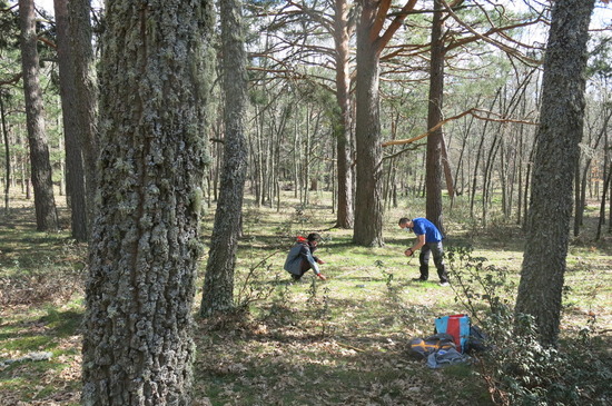 Investigación del terreno seleccionado para el estudio