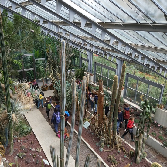 Fotos visita Museo CCNN y Botánico 8