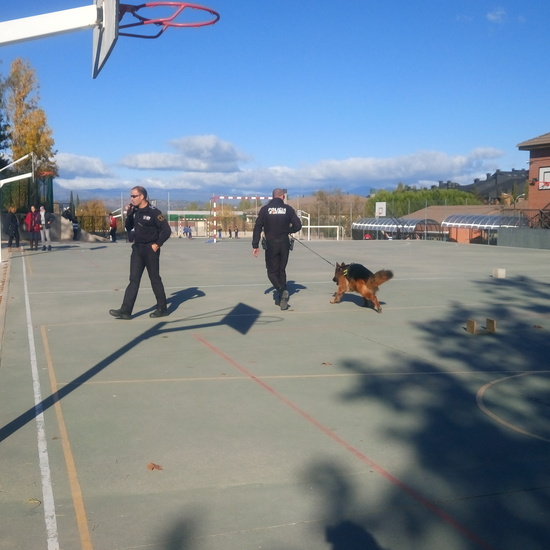 La Unidad Canina de la Policia Municipal de Las Rozas visita el cole_CEIP FDLR_Las Rozas_2017  9