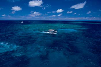 Arrecife de coral, Australia