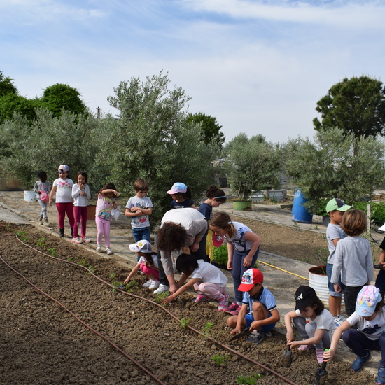 Siembra Huerta Balta 5 años 2018 24