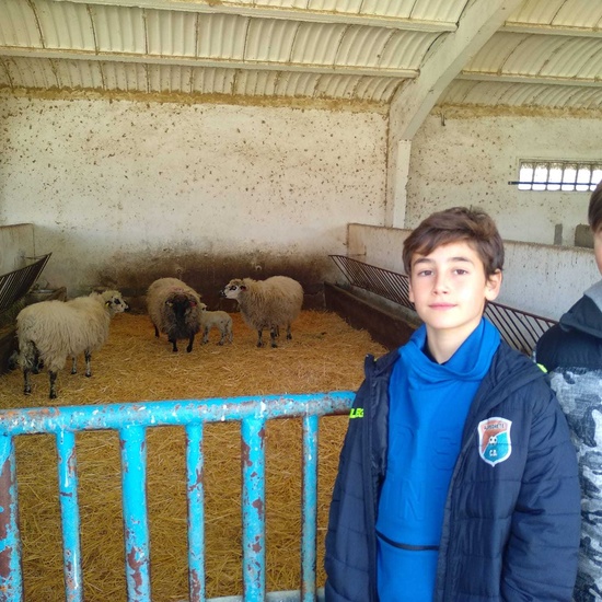 Albergue 6º - 3º día (mañana) 26