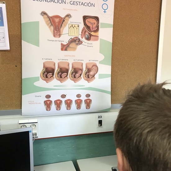 Investigamos Cuerpo Humano 3