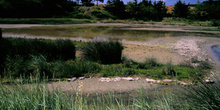 Vista parcial del humedal de la Charca de Zeluán, Gozón, Princip