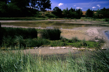 Vista parcial del humedal de la Charca de Zeluán, Gozón, Princip