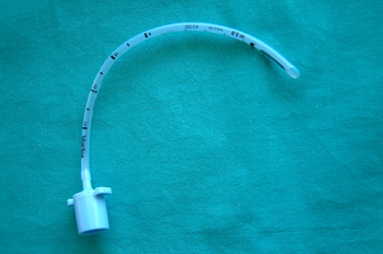 Tubo endotraqueal sin balón