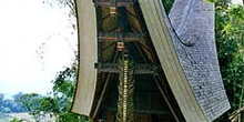 Típica casa toraja en el campo, Sulawesi, Indonesia