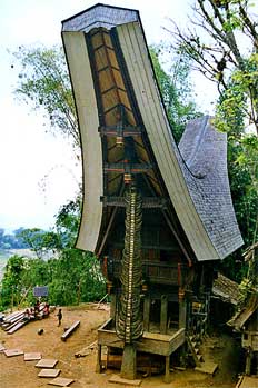 Típica casa toraja en el campo, Sulawesi, Indonesia