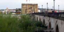 Puente romano y torre de la Calahorra, Córdoba, Andalucía