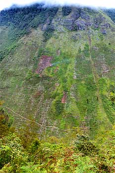 Vista de ladera llena de campos de cultivo, Irian Jaya, Indonesi
