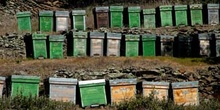 Colmenas en Las Hurdes, Cáceres