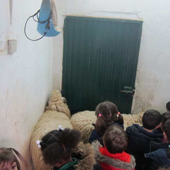 Granja Escuela Educación Infantil Curso 2017-18 28