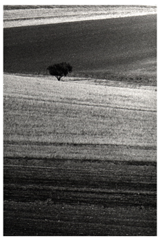 Fotografía artística de una llanura