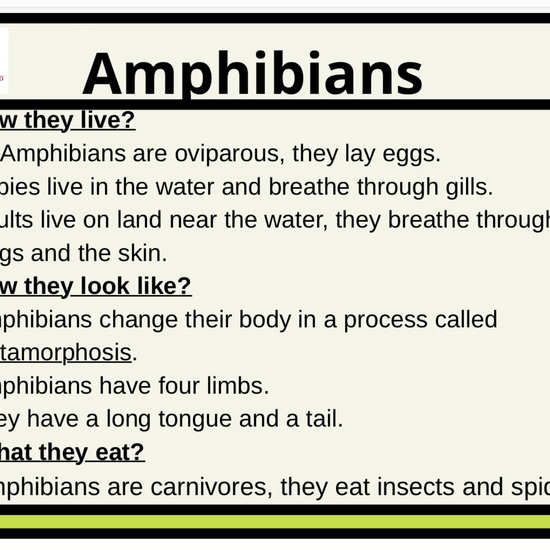 AMPHIBIANS